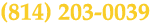 (814) 203 0039 